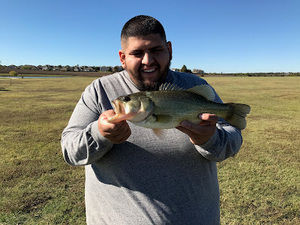 Meet your Posher, Bobby